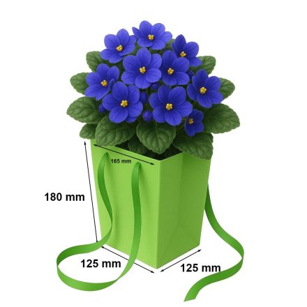 Prestige Green Bag 125x125x180/165x165 mm pre kvetináče